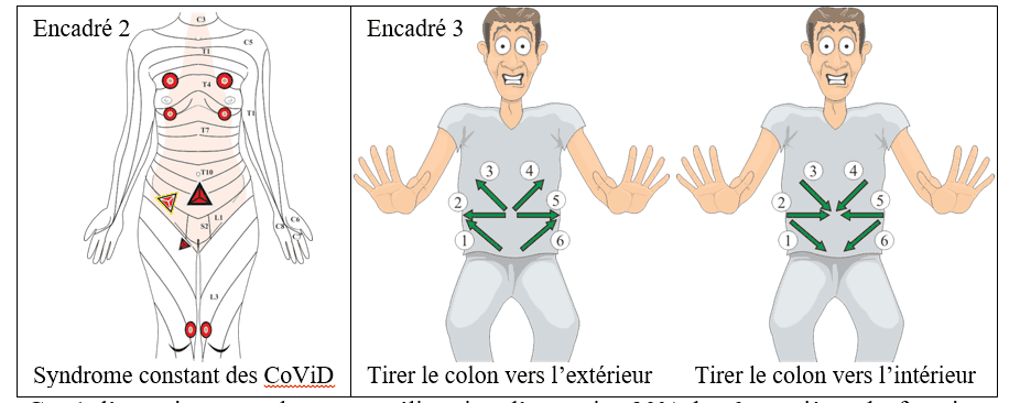 massage du colon sfo osteopathie