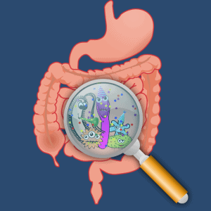 candidose digestive traitement